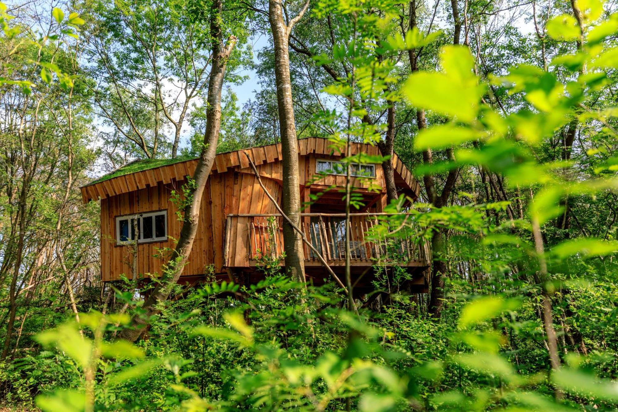 Camping De Reeenwissel Hoogersmilde المظهر الخارجي الصورة